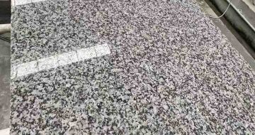 许昌 芙蓉白光面
