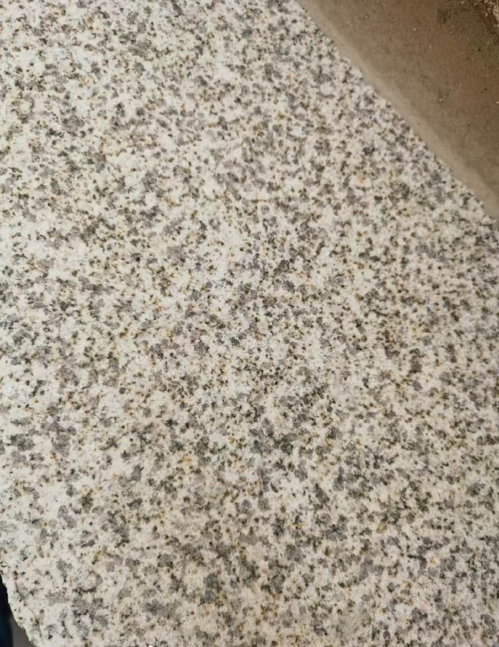 许昌 黄金麻中黄光面