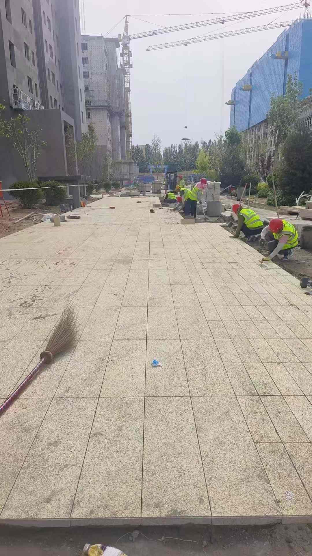 许昌黄金麻荔枝面地铺案例