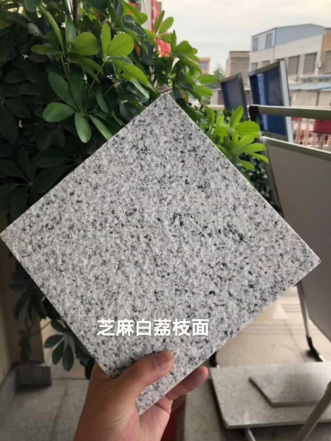 许昌 芝麻白荔枝面干挂