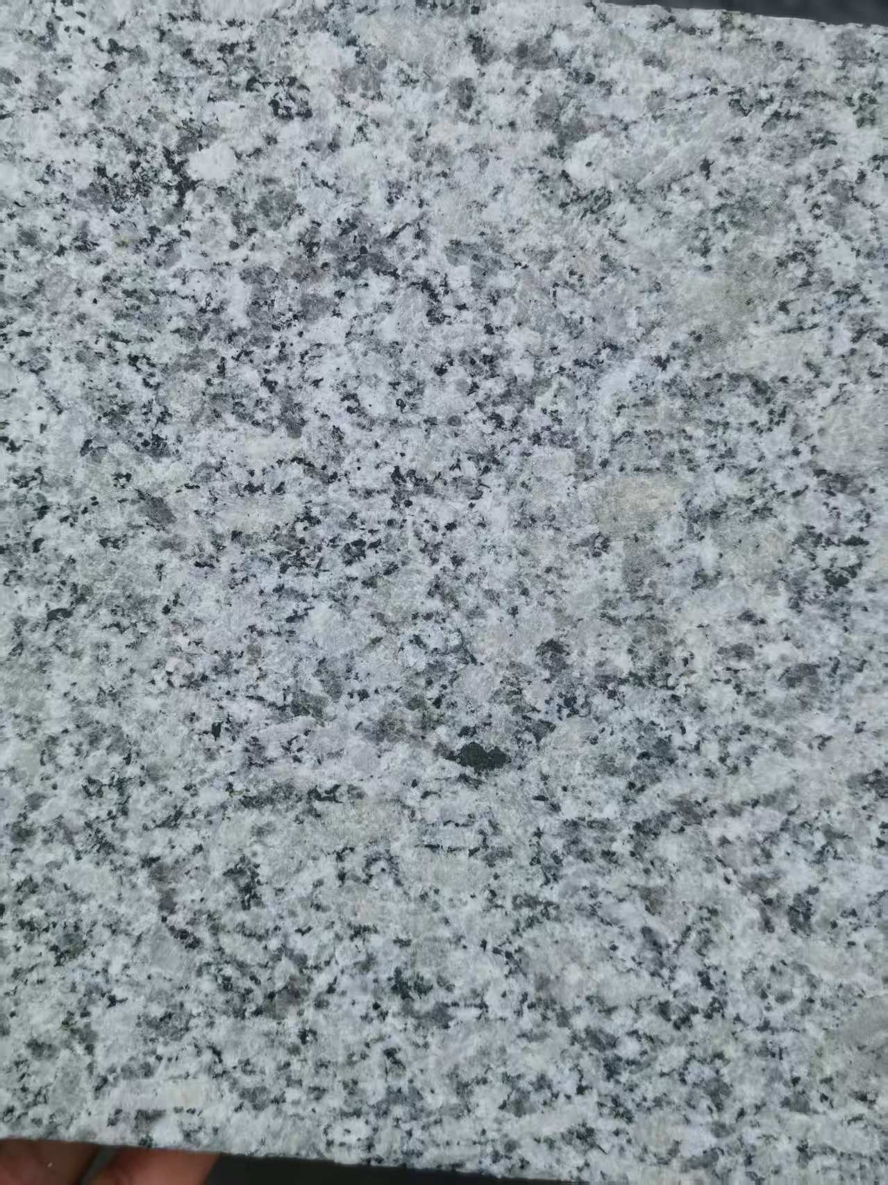 许昌 芙蓉白火烧面